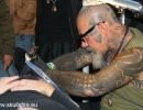 brussels tattoo convention 2012  