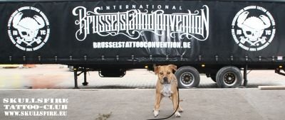 brussels tattoo convention017  