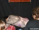 mondial du tatouage paris 2017  