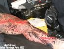 mondial du tatouage paris 2025  