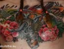 tattoo  